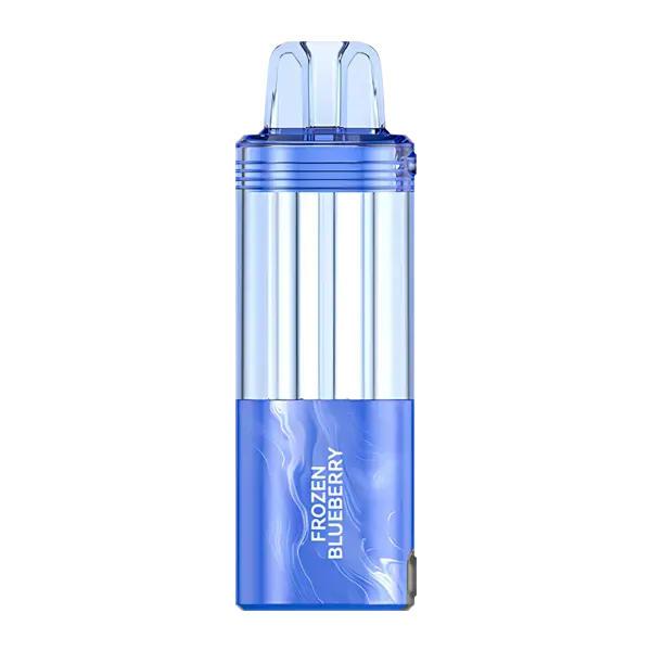 BUY 1 GET 1 FREE Frozen Blueberry FOGER Switch Pro Disposable | Vape Amazon India