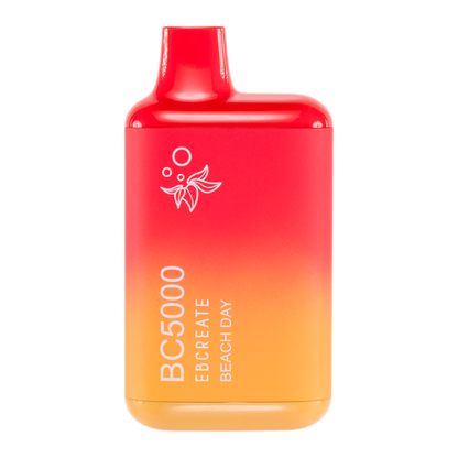 Beach Day BC5000