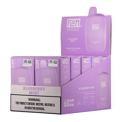 Blueberry Mint FLUM Pebble