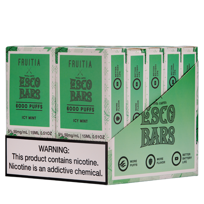 Icy Mint Esco Bar 6000