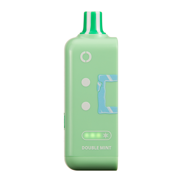 Double Mint Ice Off Stamp Ice Cube