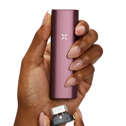 PAX Plus Complete Kit