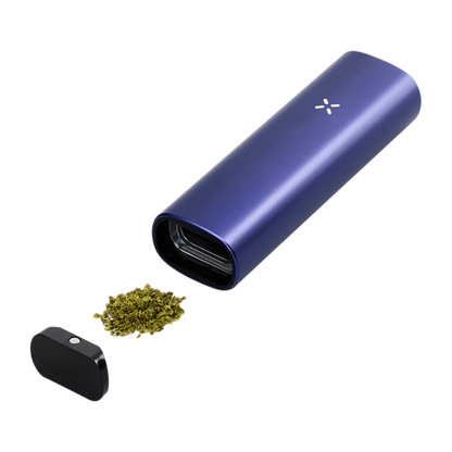 PAX Plus Starter Kit