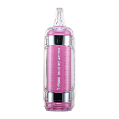 Strawberry Shortcake RAZ TN9000